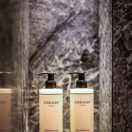 호텔 Al Piolet 브루일서비니아